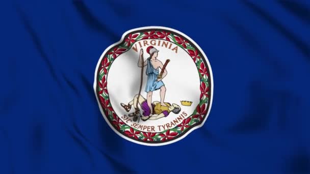 Virginia State Flag Loop — Stock video