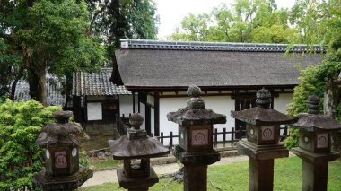 Japonya 'daki Kasuga Taisha Tapınağı' ndaki Taş Fenerler.