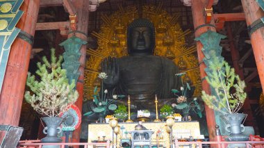 Büyük Buda, Daibutsu, Todaiji Tapınağı