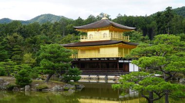 Altın Pavyon Tapınağı (Kinkaku-ji), Kyoto, Japonya.