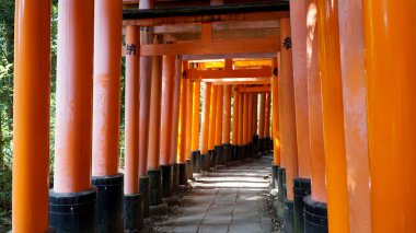 Fushimi Inari Taisha Tapınak, Kyoto, Japonya