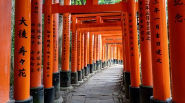 Fushimi Inari Taisha Tapınak, Kyoto, Japonya