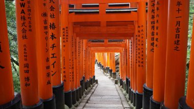 Fushimi Inari Taisha Tapınak, Kyoto, Japonya