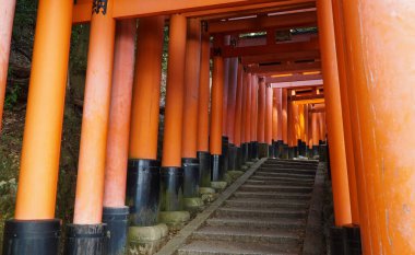 Fushimi Inari Taisha Tapınak, Kyoto, Japonya