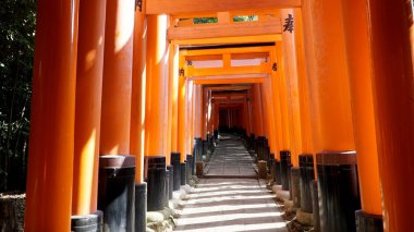 Fushimi Inari Taisha Tapınak, Kyoto, Japonya