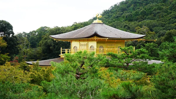 Altın Pavyon Tapınağı (Kinkaku-ji), Kyoto, Japonya.