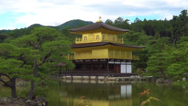 Templo Pavilhão Dourado Kinkakuji Kyoto Japão — Vídeo de Stock