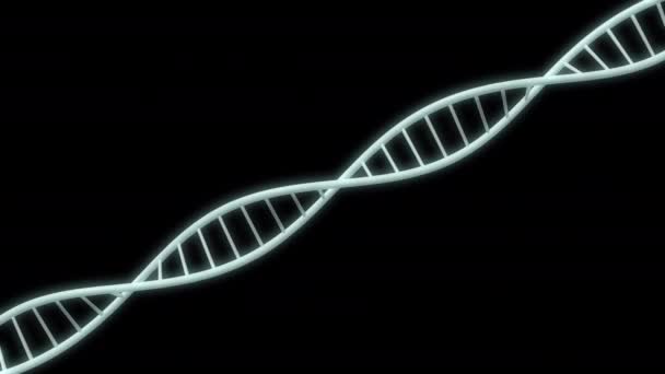 Dna Deoxyribonucleic Acid Loop Alpha Channel — Stock Video