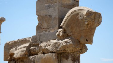 Persepolis harabeleri, Achaemenid İmparatorluğunun başkenti. Taş Boğa Heykeli Antik Sütun, Şiraz, İran.