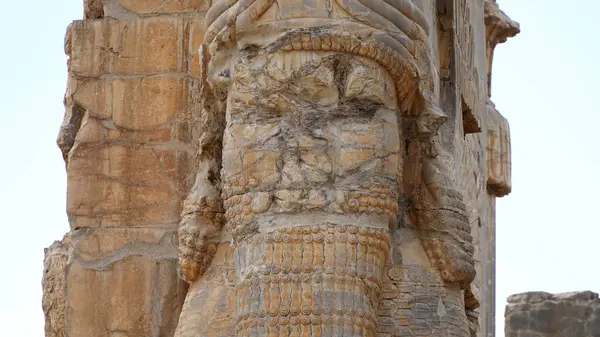 Lamassu, tüm ulusların giriş kapısını koruyor. Persepolis Harabeleri, Achaemenid İmparatorluğunun Başkenti, Şiraz, İran.