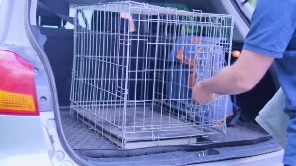 男が車のトランクにリュックを置き ビーグルがケージに飛び込む 車の中でペットの輸送 高品質4K映像 — ストック動画