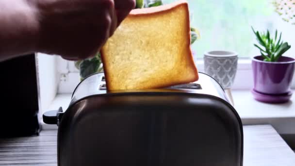 Een Mensenhand Laadt Twee Stukken Wit Brood Een Broodrooster Tafel — Stockvideo