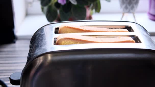 パンをトースターに入れる男性の手 閉鎖だ 高品質4K映像 — ストック動画