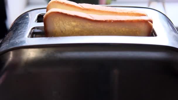 Erkek Eller Ekmek Kızartma Makinesine Ekmek Koyuyor Yakın Çekim Yüksek — Stok video