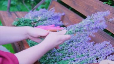 Lavanta çiçekleri dişi elinde, tahta masada, düz yerde. Çiçekçi, taze bir buket yapmak için lavanta çiçeği ayırıyor. Çiçek ve aromaterapi. Yüksek kalite 4k görüntü