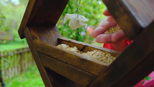Mãe Com Pequena Filha Pré Escolar Colocando Sementes Alimentador Pássaros — Vídeo de Stock