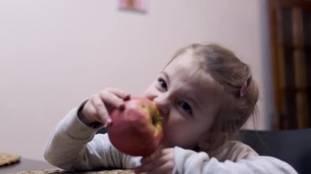 Маленькая Девочка Сидит Кухне Столом Ест Большое Сочное Красное Яблоко — стоковое видео
