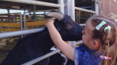 Vahşi hayvan parkında küçük vahşi keçileri besleyen sevimli anaokulu kızı. Yaz günü hayvanları okşayan mutlu çocuk. Heyecanlı ve mutlu bir kız hafta sonu, yazın çocuk aktiviteleri.