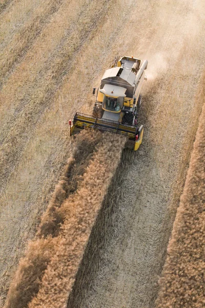 Luftaufnahme Der Erntemaschine Auf Dem Feld — Stockfoto