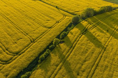 Polonya 'nın Nysa kenti yakınlarındaki hasat alanlarının hava görüntüsü.