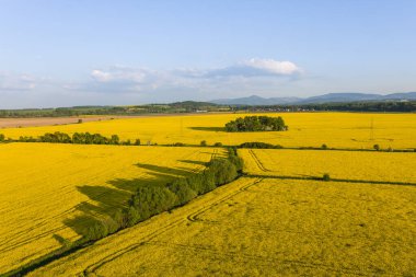 Polonya 'nın Nysa kenti yakınlarındaki hasat alanlarının hava görüntüsü.