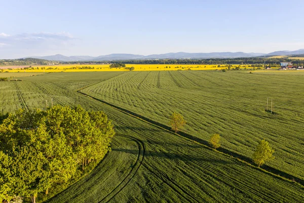 ポーランドのニサ市付近の収穫畑の空中ビュー — ストック写真