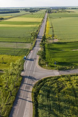Polonya 'daki hasat alanlarının havadan görünüşü