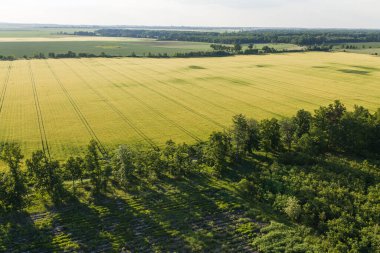 Polonya 'daki hasat alanlarının havadan görünüşü