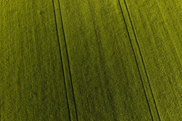 Αεροφωτογραφία Των Αγρών Συγκομιδής Στην Πολωνία — Φωτογραφία Αρχείου