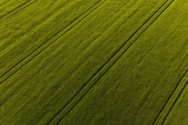 Aerial View Harvest Fields Poland — Stock Photo, Image