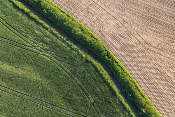 Aerial View Harvest Fields Poland — Stock Photo, Image