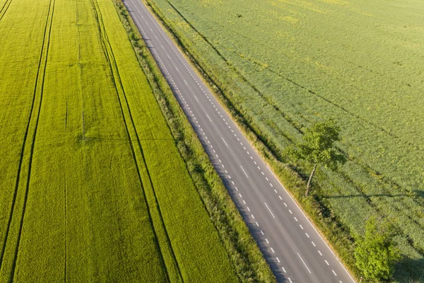 ポーランドの収穫畑の空中風景です — ストック写真