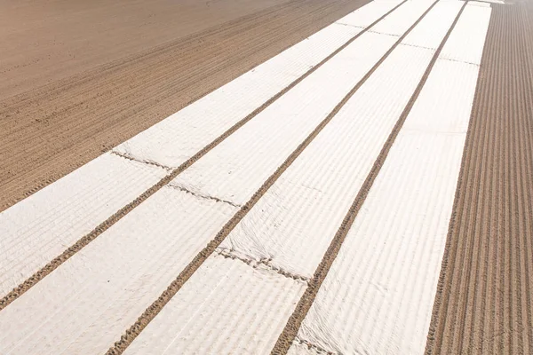 Luftaufnahme Der Mit Material Bedeckten Getreidefelder — Stockfoto