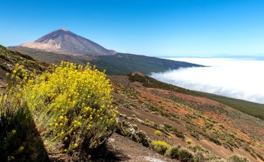 İspanya 'nın Tenerife adasındaki Teide Ulusal Parkı' nın genel manzarası