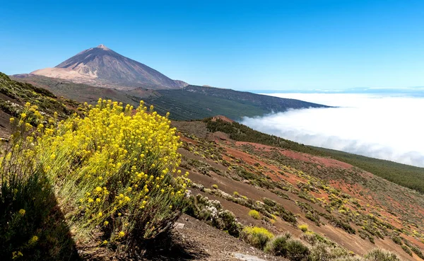 İspanya 'nın Tenerife adasındaki Teide Ulusal Parkı' nın genel manzarası