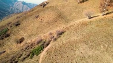 Gezgin sonbahar dağı boyunca yürür. İHA 'nın üst görüntüsü. Hava fotoğrafçılığı. Yüksek kaliteli FullHD görüntüler