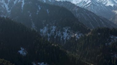 Dağın havadan görünüşü. Alma-Atas bölgesi. İnsansız hava aracı doğanın renkli dokusunda, kozalaklı karışık ormanlarda ve karda uçar. Yüksek kaliteli FullHD görüntüler