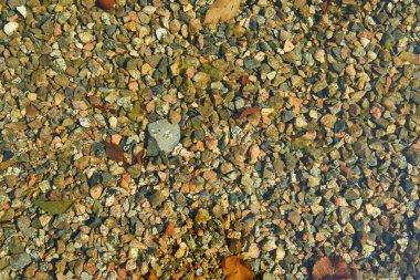 Göletteki suda küçük renkli çakıl taşları. Doku. Yüksek kalite fotoğraf