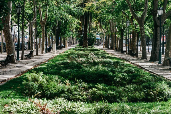 stock image Lisbon, Portugal - October 30, 2022 : Garden at Avenida da Liberdade in Lisbon, Portugal