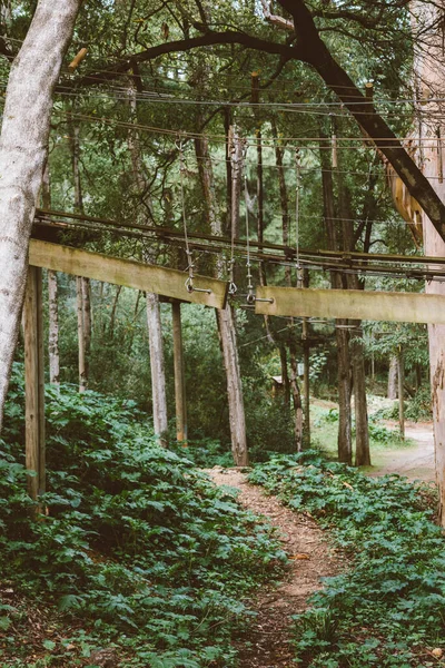 Las Cuerdas Altas Experimentan Parque Árboles Aventura Camino Cuerda Los — Foto de Stock