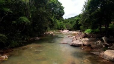 Brezilya ormanının derinliklerinde bir nehri takip eden POV hava görüntüsü