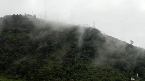 ミナスジェライス州 雲や木の上ブラジルの霧の山の熱帯雨林の空中ドローンビュー — ストック動画