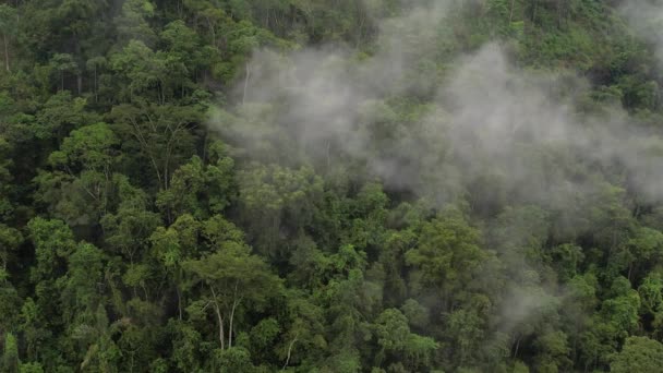 Aerial Drone View Misty Mountainous Rainforest Minas Gerais Brazil Clouds — Vídeo de Stock