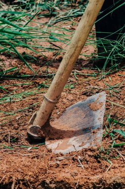 Close up of old hoe among weeds