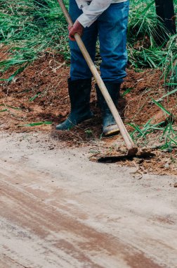 Unidentifiable farm worker cutting weeds with a hoe in a farm.