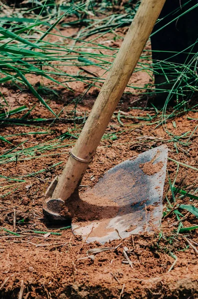 Close up of old hoe among weeds