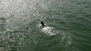 Aerial drone view of man riding an electrofoil electric surfboard in Cascais, Portugal