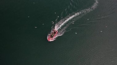 A small red fishing trawler off the coast of Cascais, Portugal being followed by seagulls