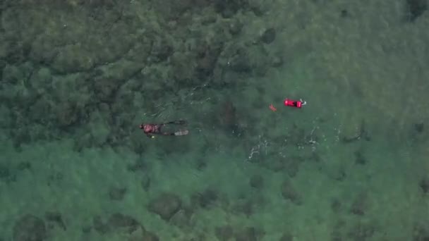 Aerial Top Drone View Unidentificable Male Snorkeler Divers Cascais Πορτογαλία — Αρχείο Βίντεο