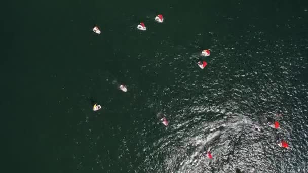 Виндсерфингисты Сидящие Красивой Голубой Воде Сверху Вниз Вид Воздуха Захвачен — стоковое видео